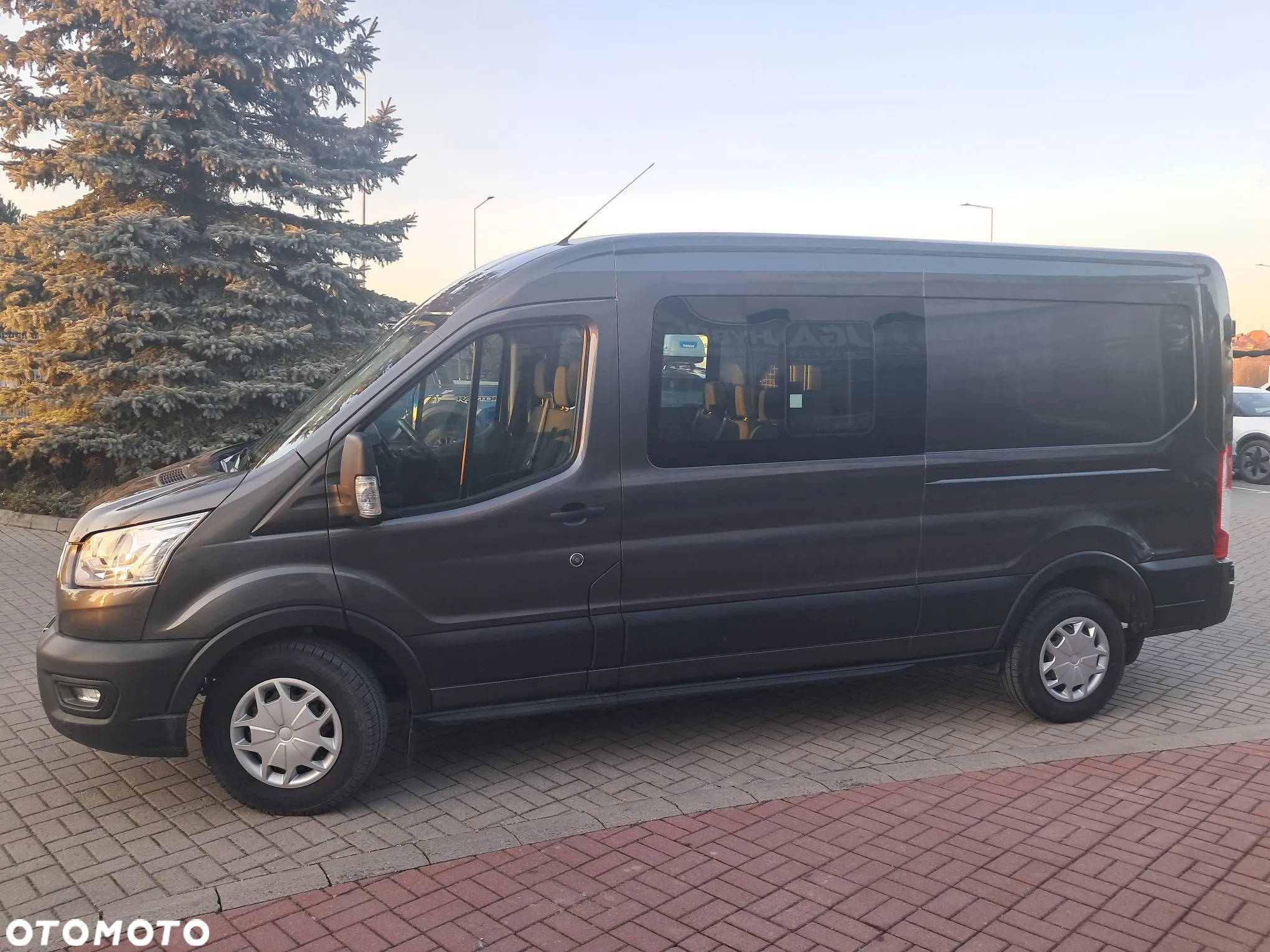Ford Transit - 6