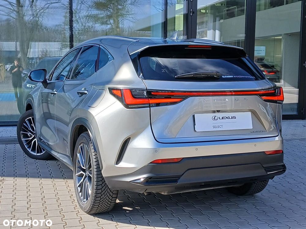 Lexus NX - 11