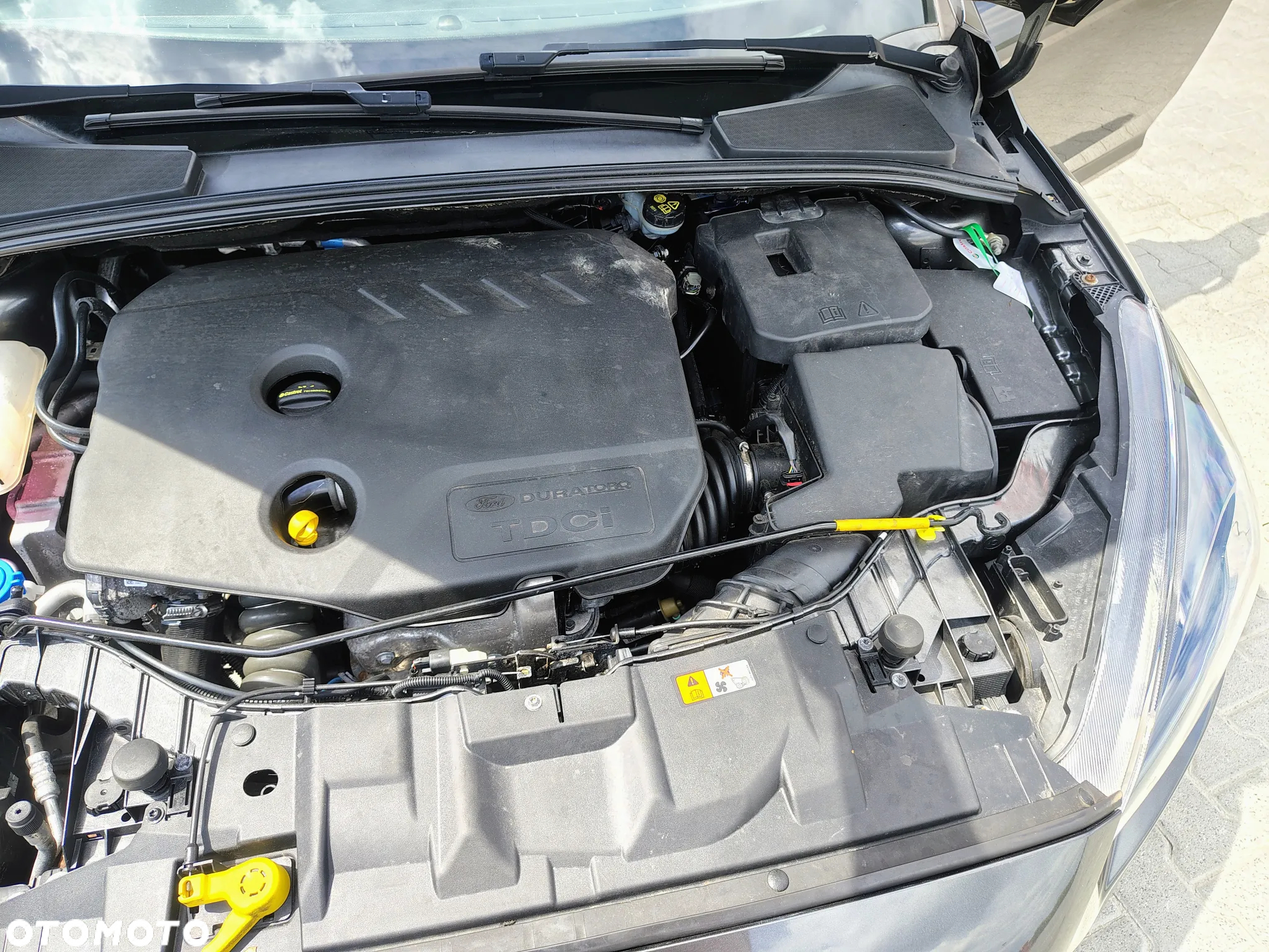 Ford Focus 1.6 TDCi DPF Titanium - 32