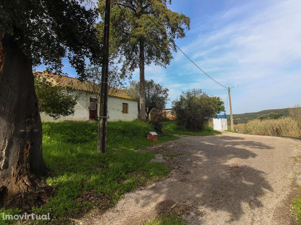 Terreno com cerca de 1 Hectare - Grande imagem: 3/20