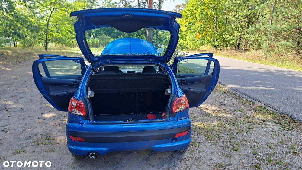 Peugeot 206 plus - 20