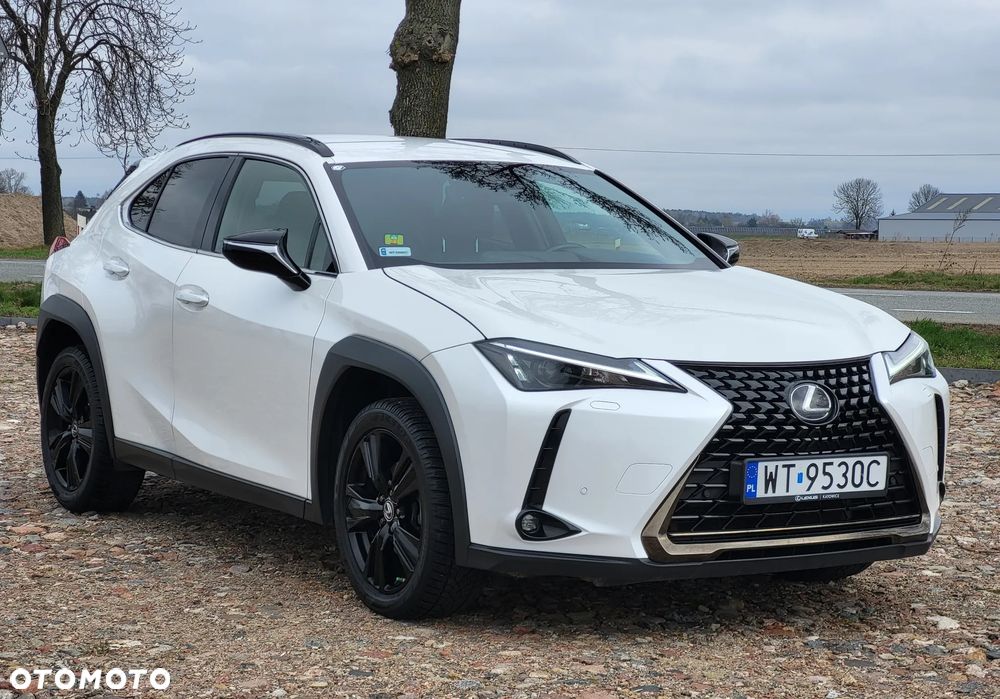 Lexus UX 200 GPF Business 2WD - 3