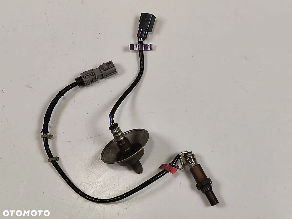 TOYOTA C-HR 1.8h 19-23r Sonda Lambda - 1