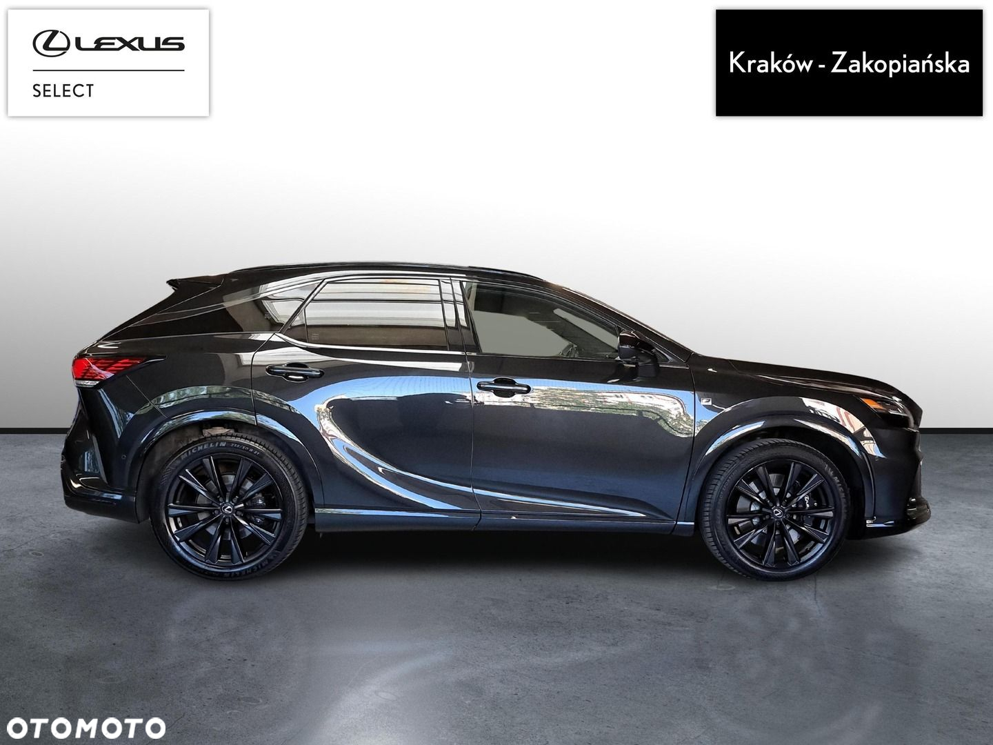 Lexus RX - 6