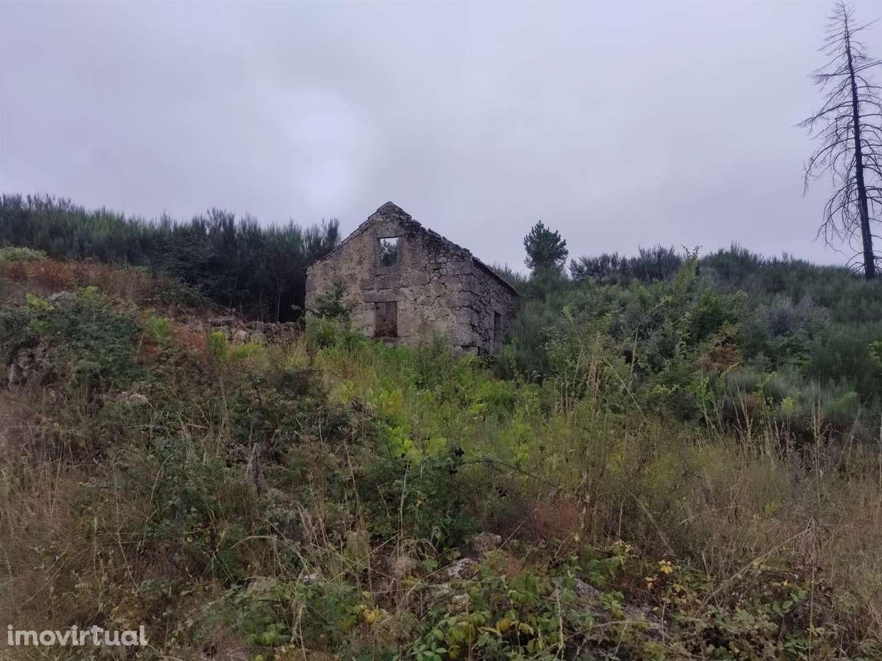 Quintinha para habitação - Grande imagem: 3/9