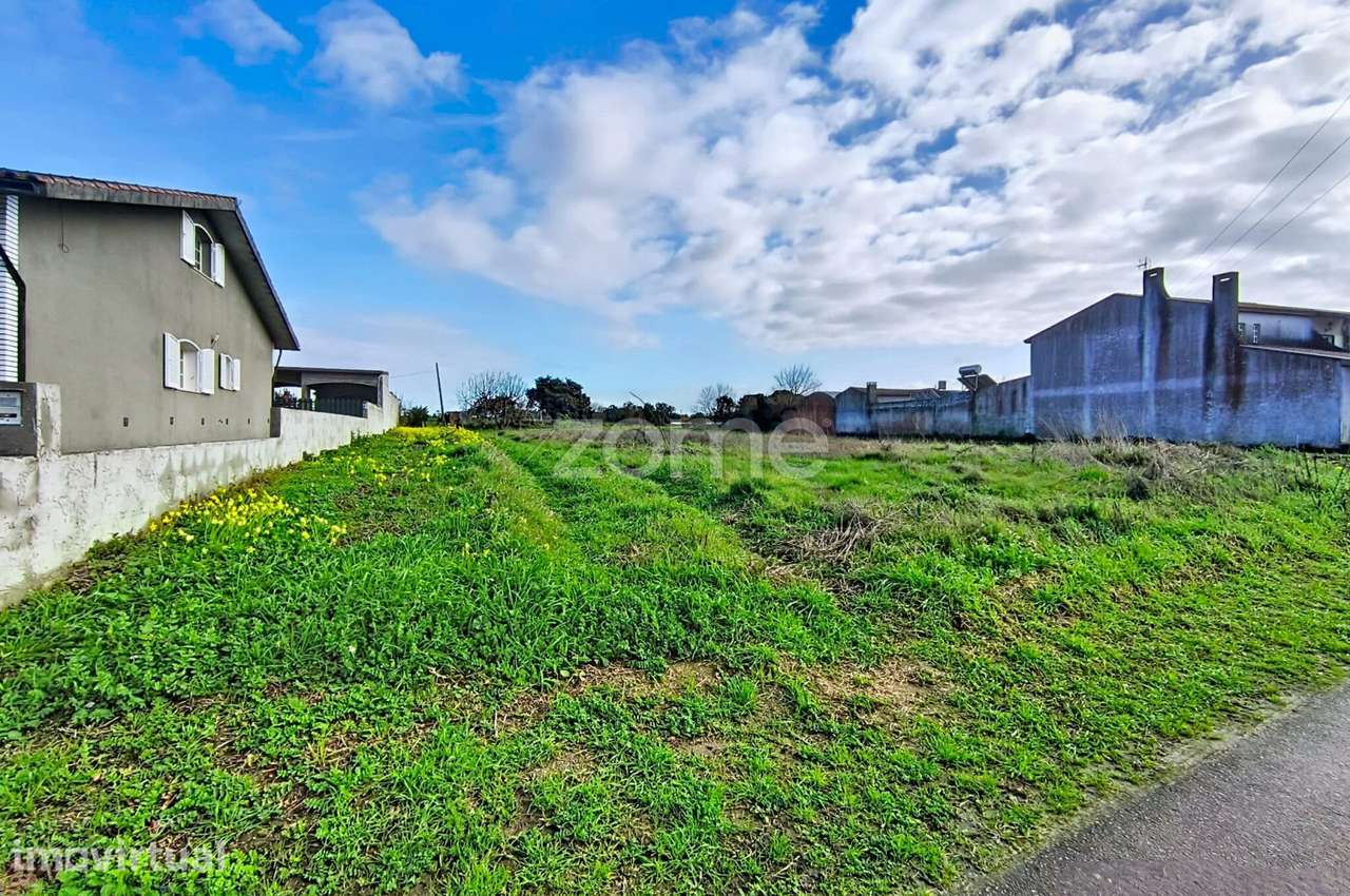 Terreno para moradia isolada ou 2 moradias geminadas_1900m2_Vagos - Grande imagem: 3/31