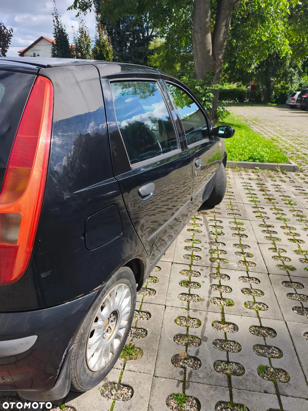 Fiat Punto - 6