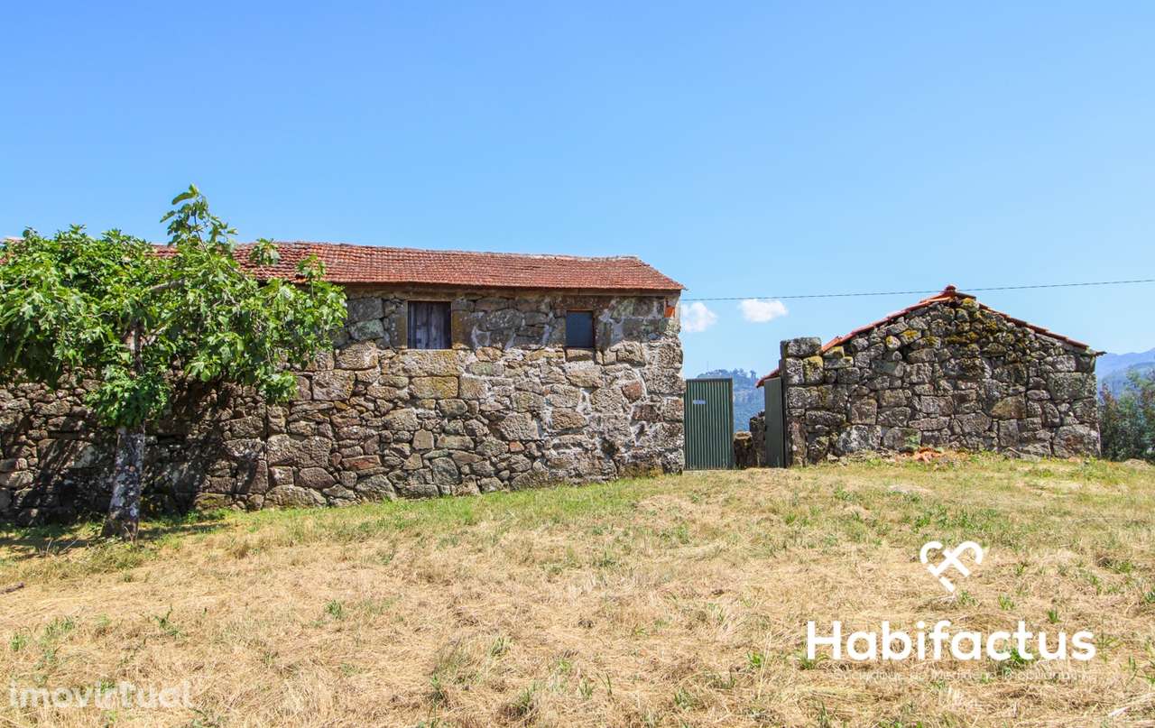 Quintinha T3 A 5 minutos das Termas de  S. Pedro do Sul - Grande imagem: 5/30