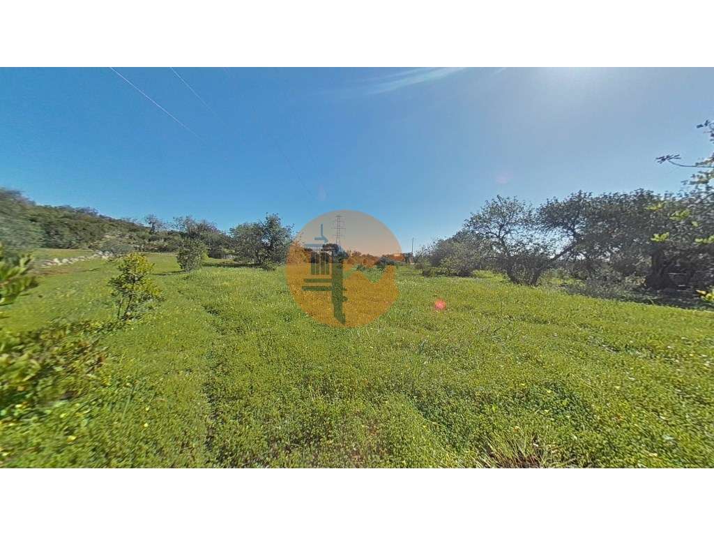 Terreno Rústico - Grande imagem: 2/34