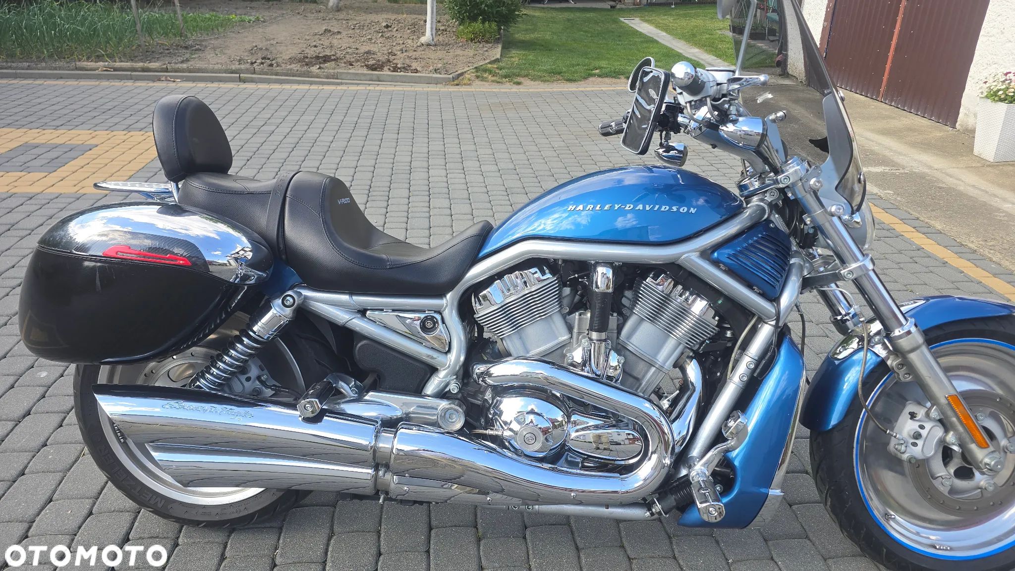 Harley-Davidson Softail V-Rod - 1