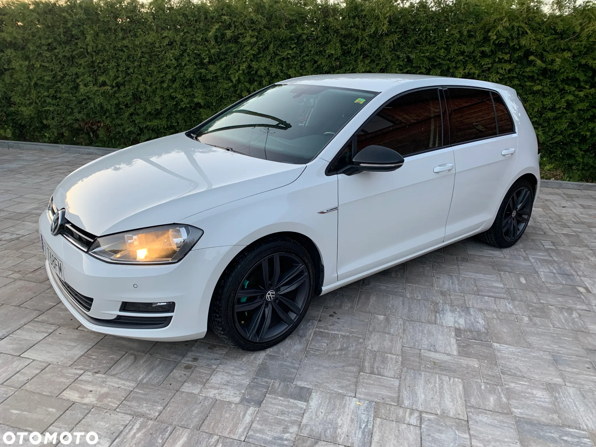 Volkswagen Golf VII 1.6 TDI BMT Comfortline - 4