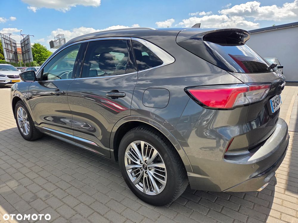 Ford Kuga 2.0 EcoBlue 4x4 VIGNALE - 4