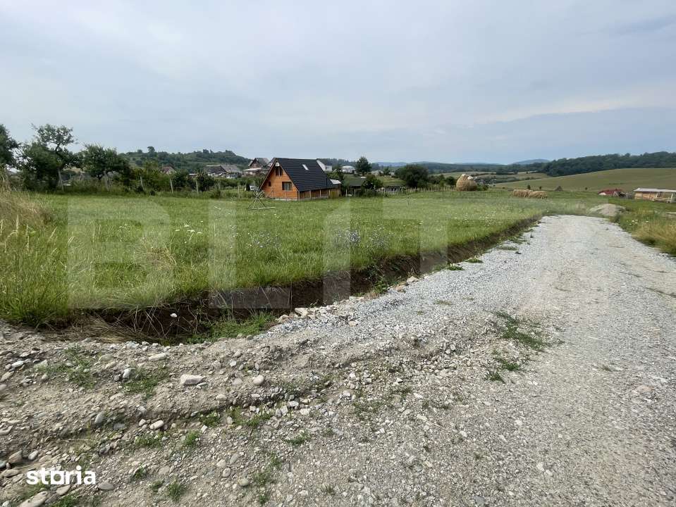 Teren de vanzare – zona Subcetate, aproape de str. Tarpiului, 595 mp - Imagine principală: 4/5