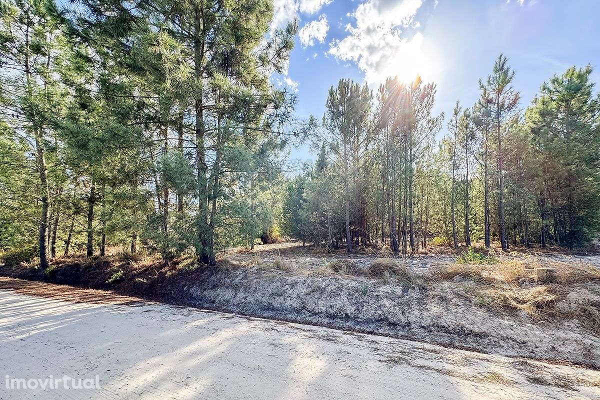 Terreno  para venda - Grande imagem: 4/8