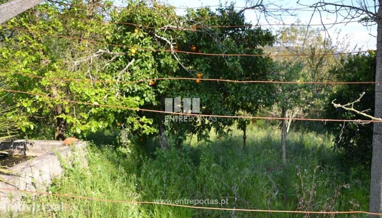 Venda Terreno, próximo da cidade, Rio de Galinhas, Marco de Canaveses - Grande imagem: 5/10