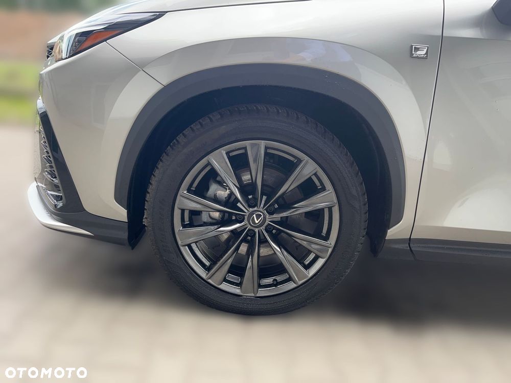 Lexus NX - 15