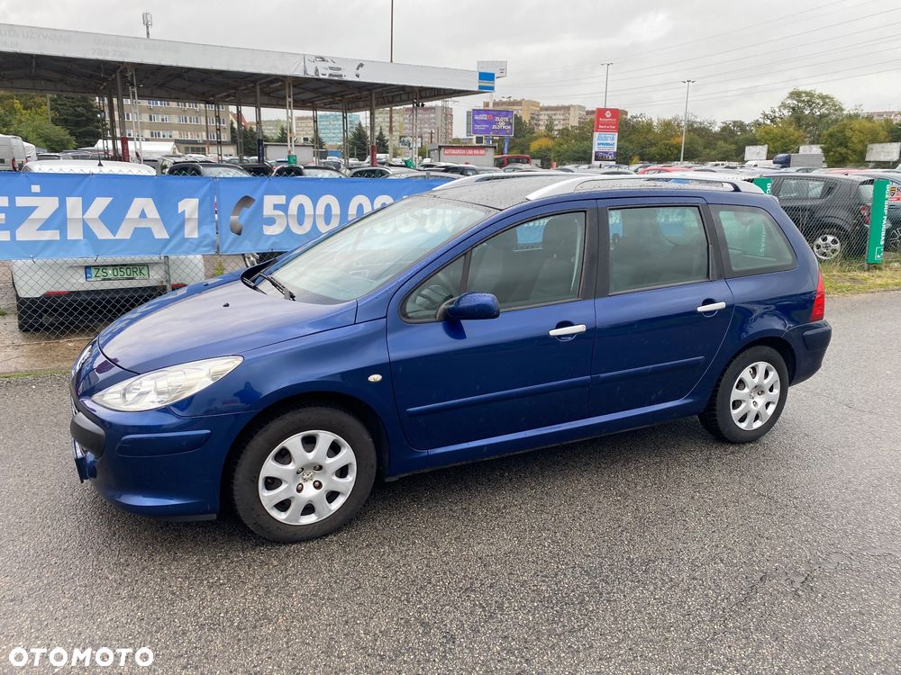 Peugeot 307 110 Grand Filou Cool - 13