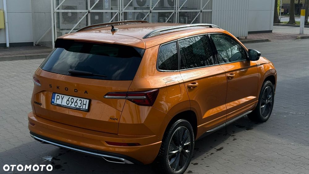 Skoda Karoq - 19