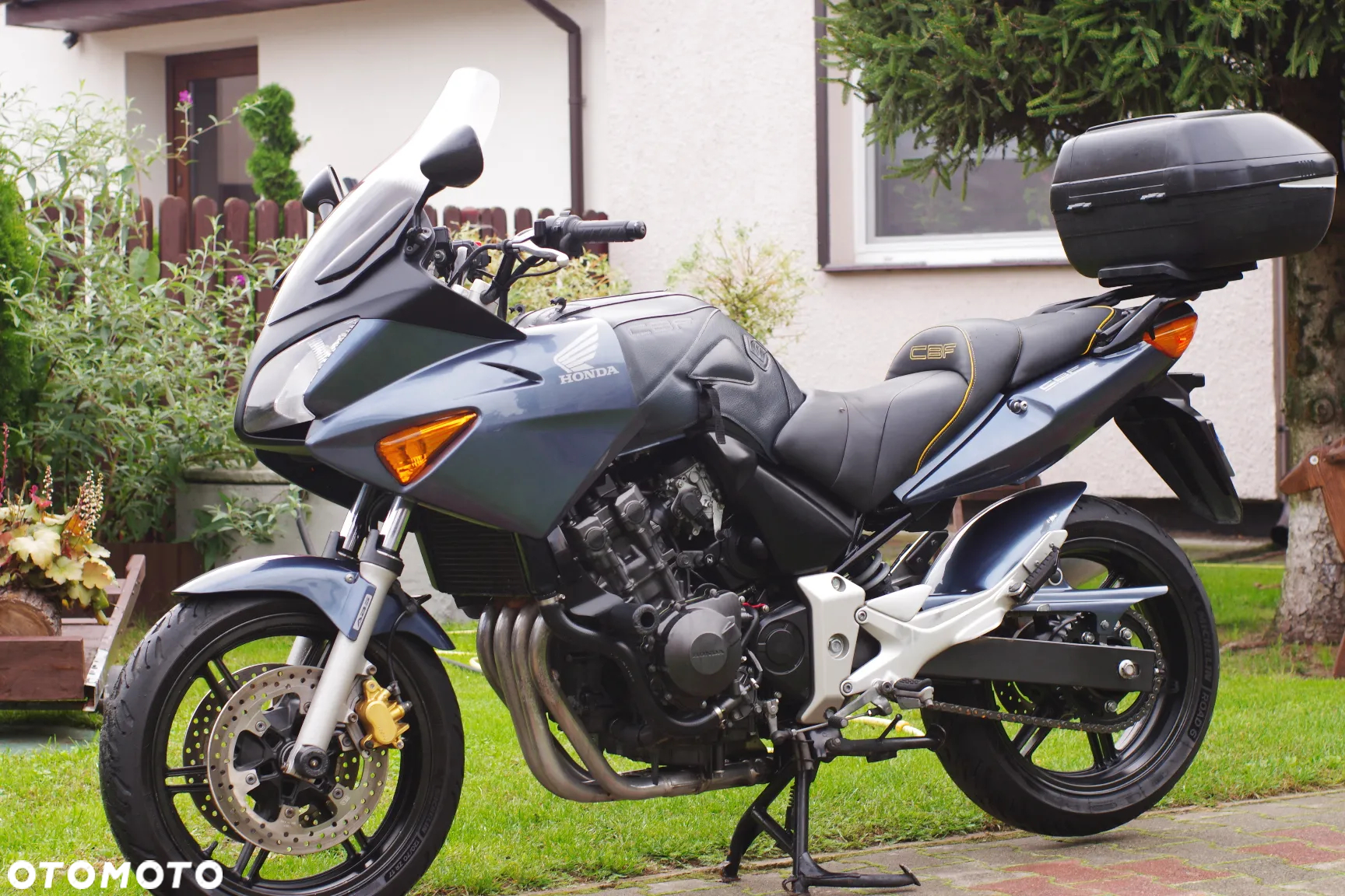 Honda CBF - 19