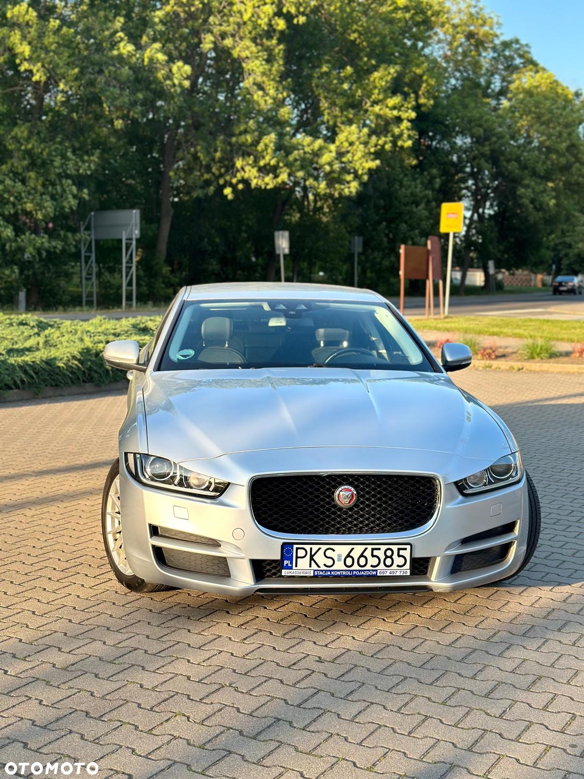 Jaguar XE E-Performance Pure - 16