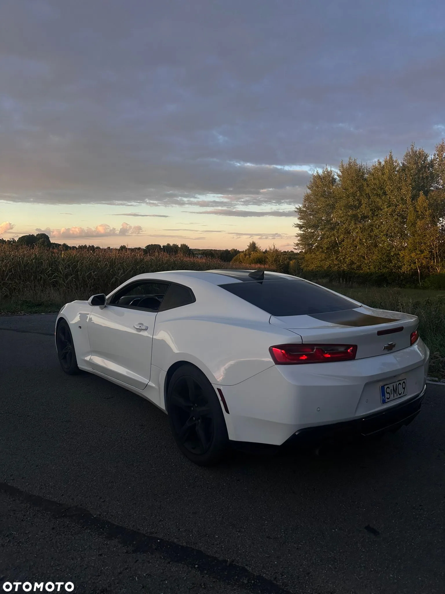 Chevrolet Camaro 3.6 V6 Coupe 2LT - 4