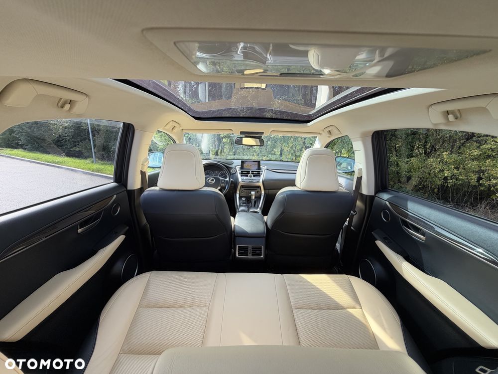 Lexus NX - 34