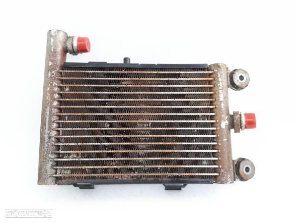 Radiador Agua  Bmw X3 (E83) - 2