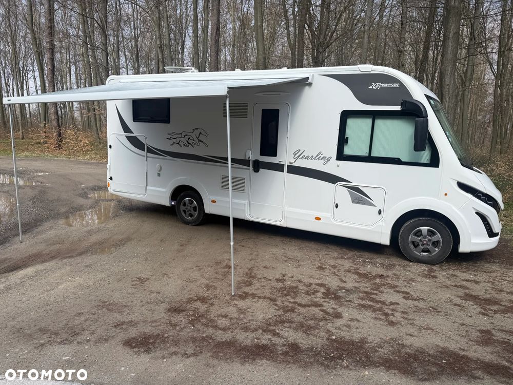 McLOUIS Yearling i61g - 10