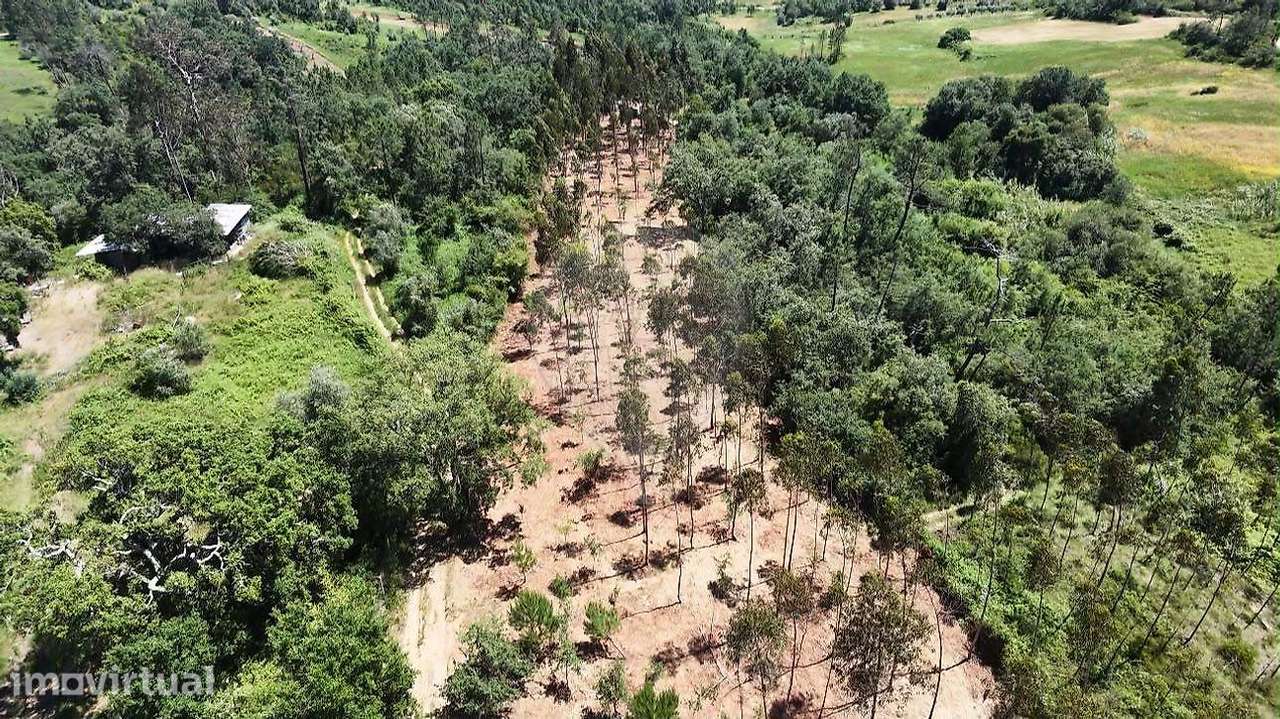 Terreno  para venda - Grande imagem: 4/20