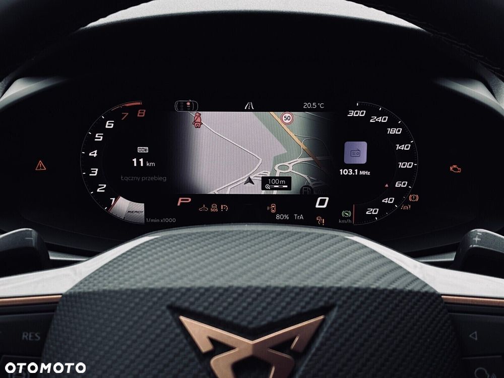 Cupra Terramar - 17