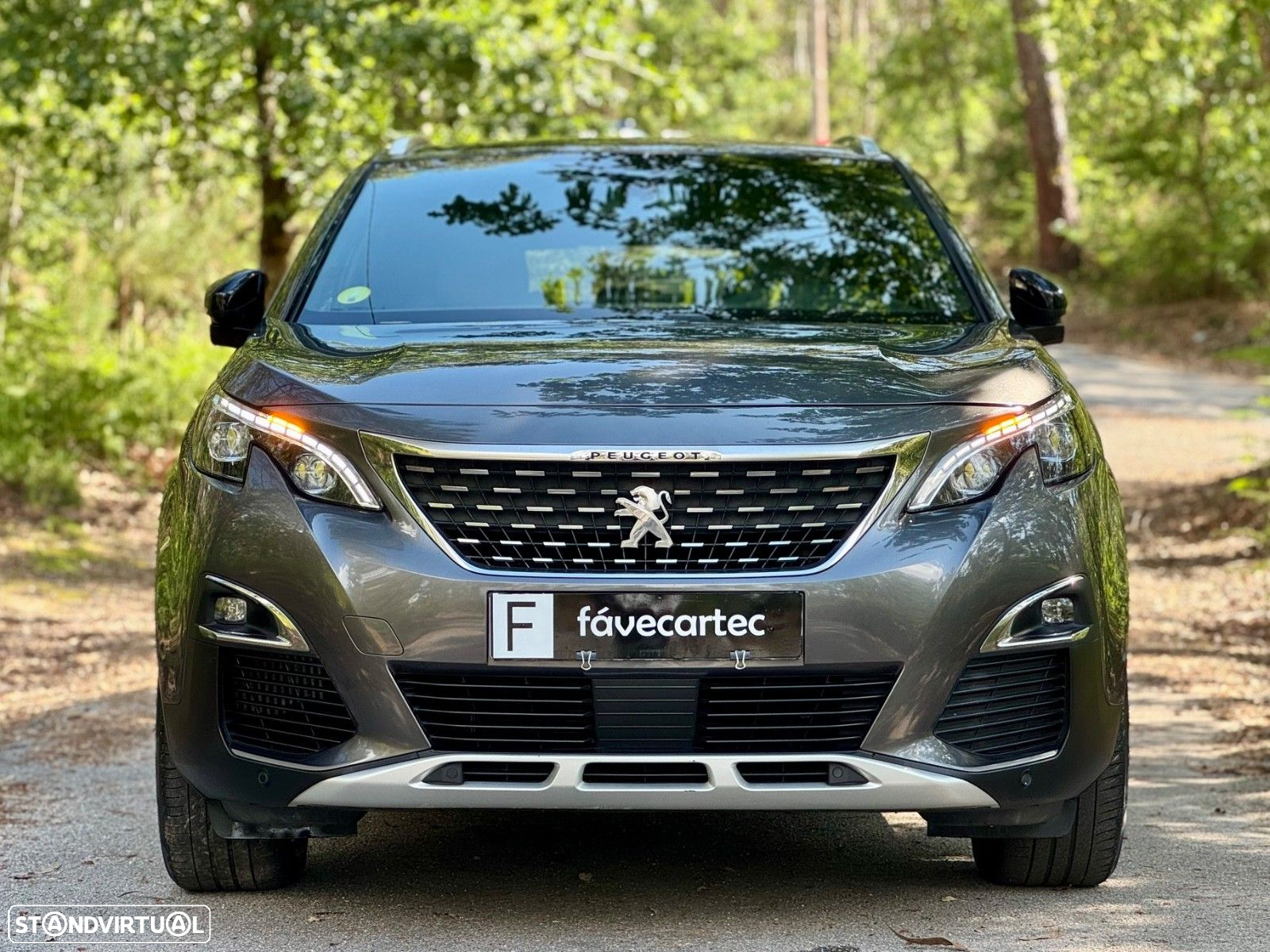 Peugeot 3008 1.6 BlueHDi GT Line Grip Control EAT6 - 13