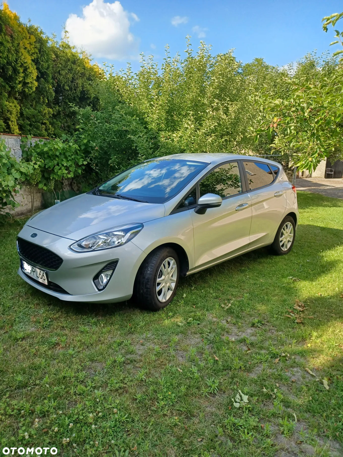 Ford Fiesta - 2
