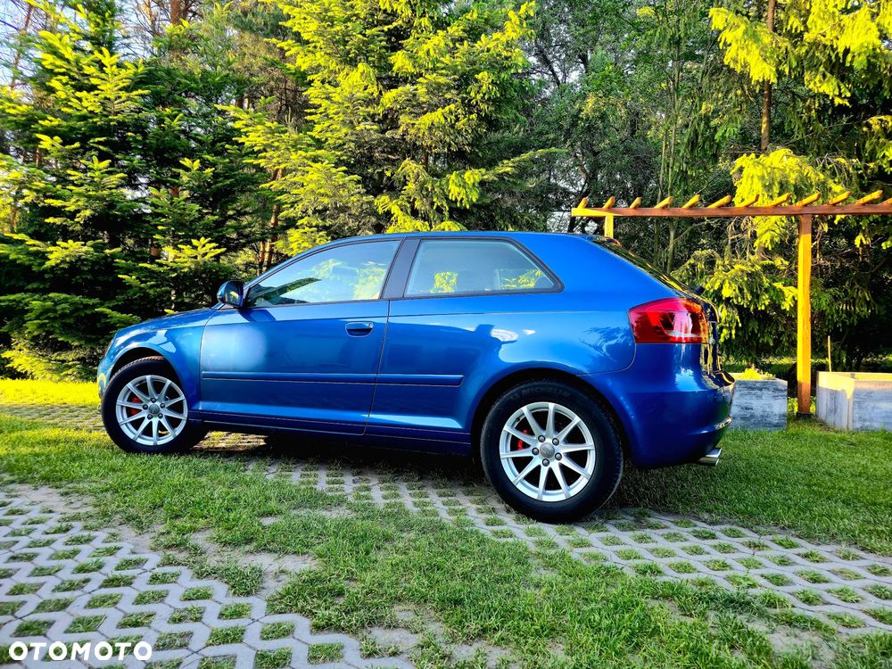 Audi A3 3-drzwiowe 1.6 FSI Ambition - 1