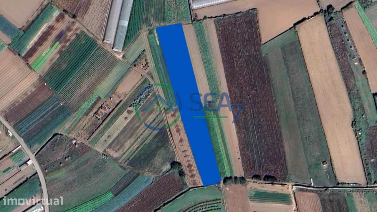 Terreno Agrícola, Apúlia - Grande imagem: 5/11
