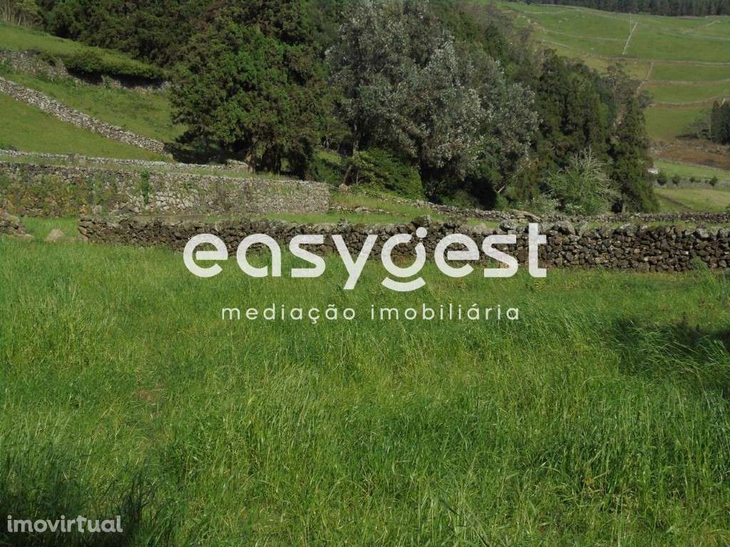 Terreno de terra lavradia e Pomar de 12 Alqueires / Terra-Chã - Grande imagem: 3/32