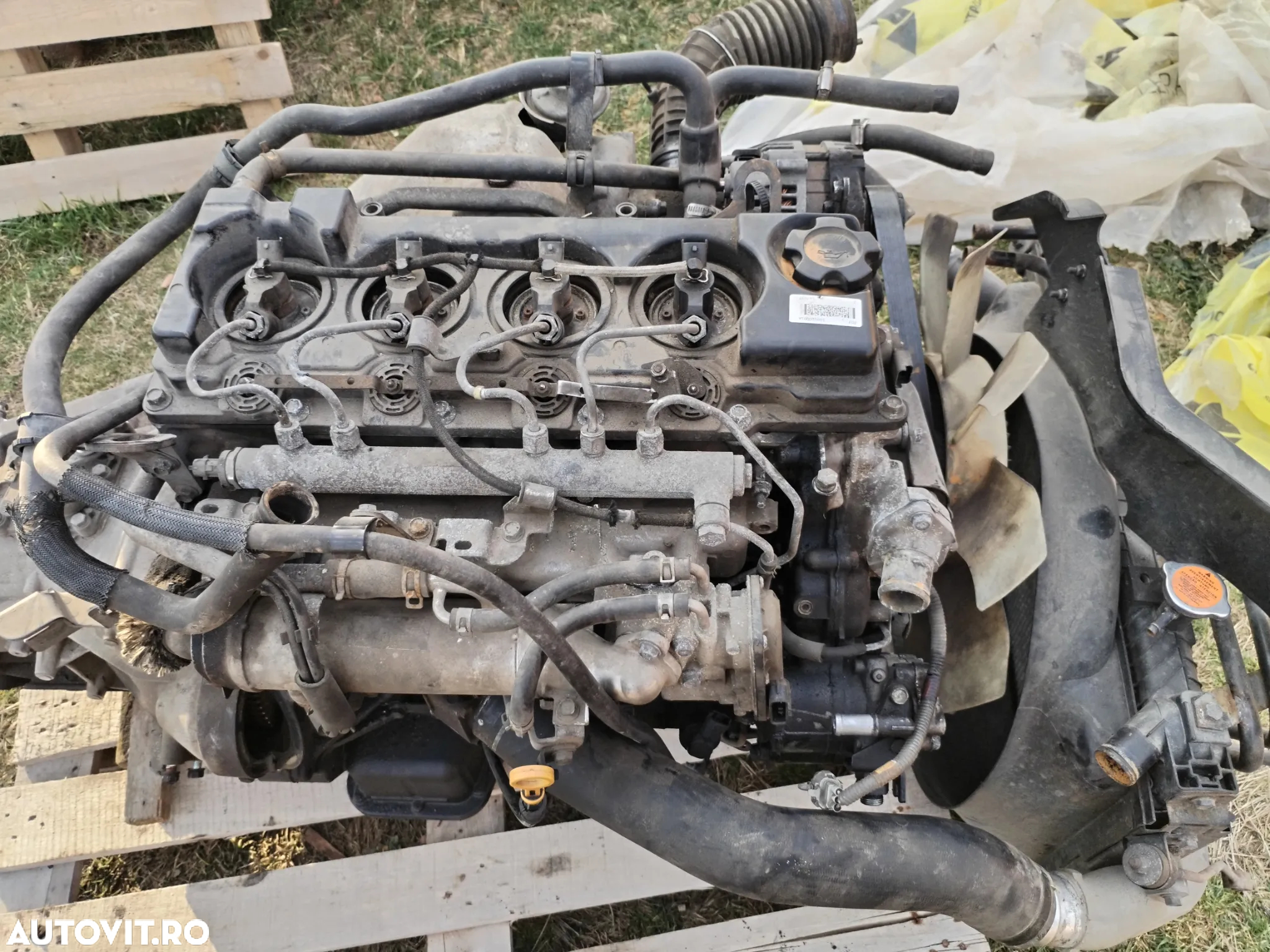 KIT LANT DISTRIBUTIE NISSAN ATLEON CABSTAR 3.0 ZD30 EURO4 150CP RENAULT MASCOT MAXITY PIESE ZD30DDTI - 22