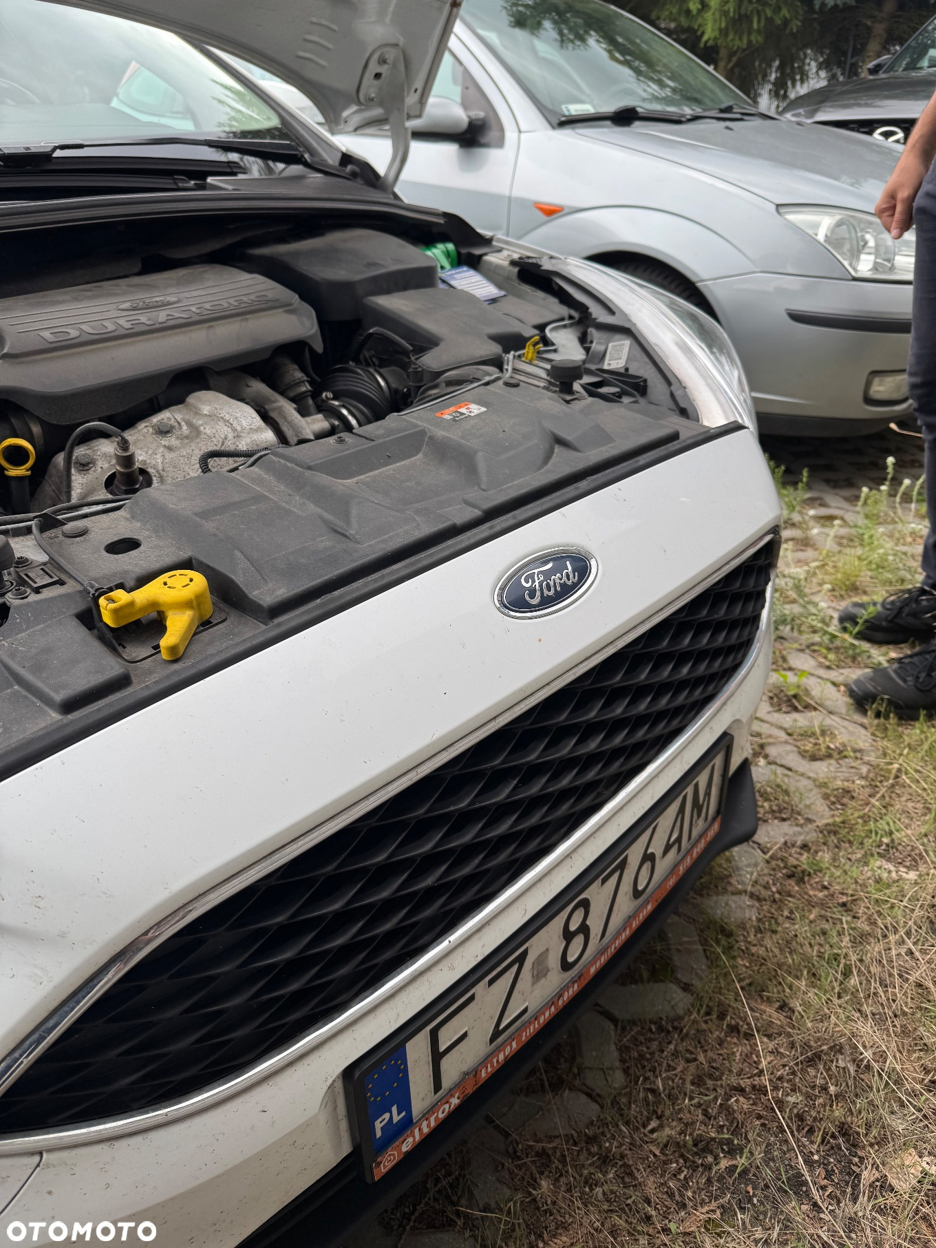 Ford Focus - 3