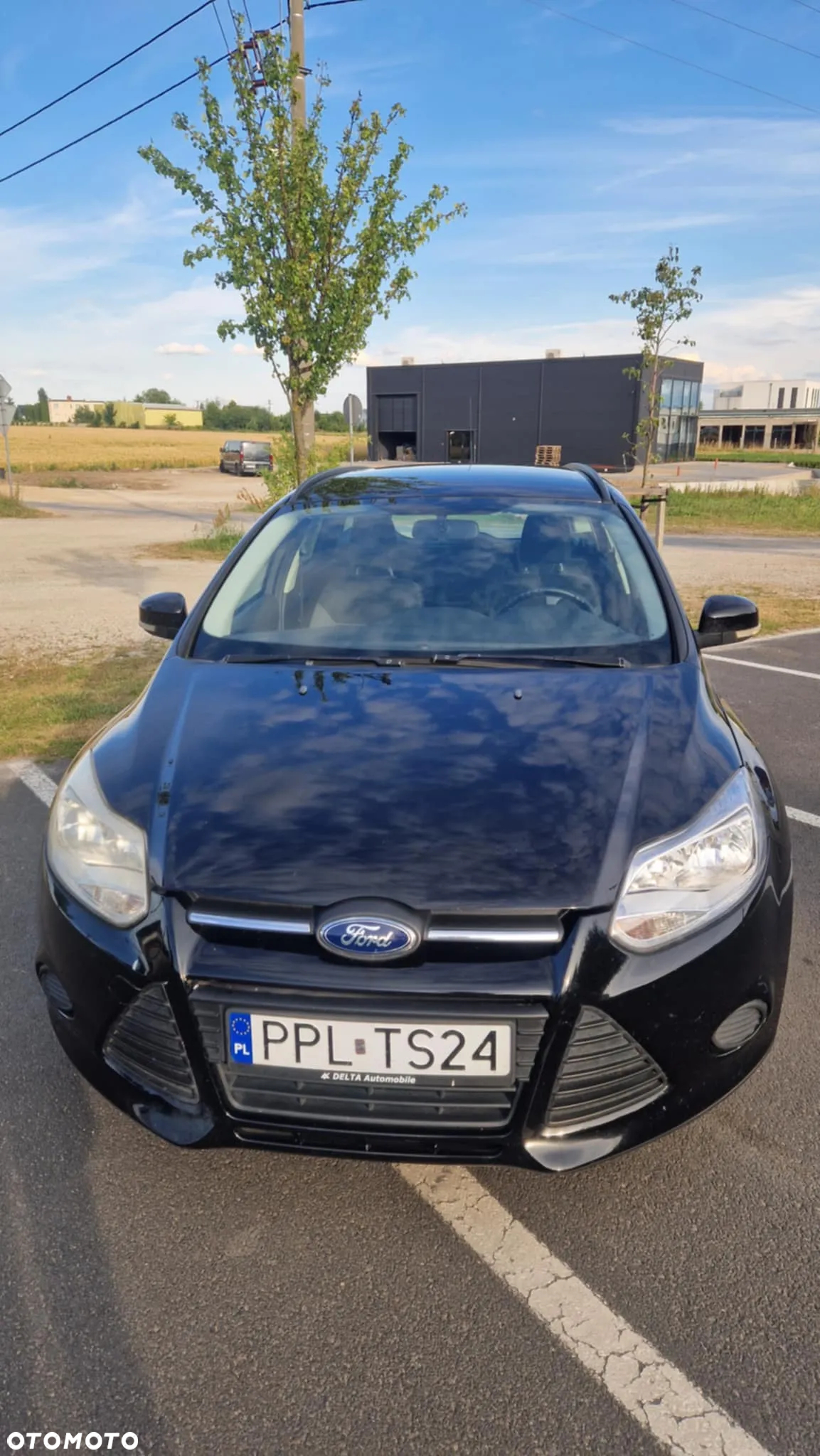 Ford Focus - 7