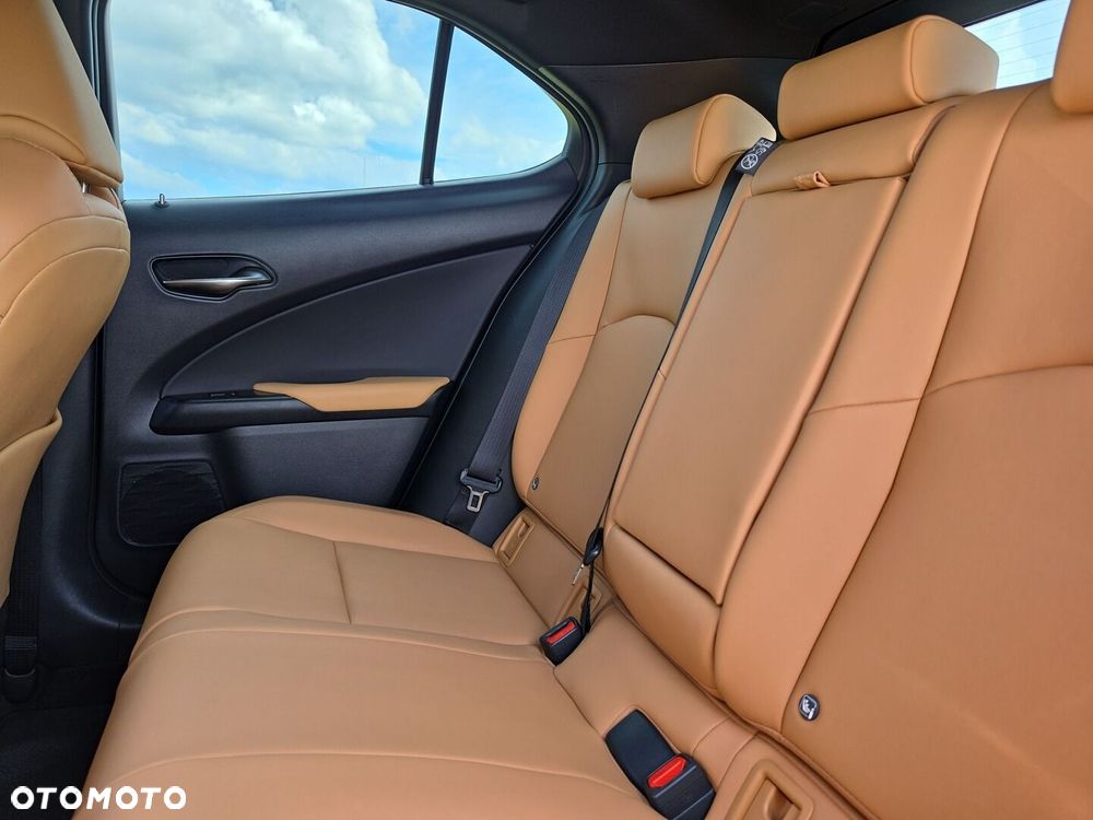 Lexus UX - 25