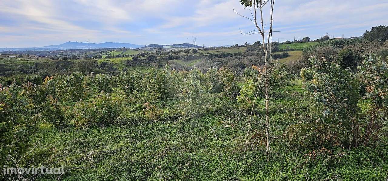 Terreno  para venda - Grande imagem: 2/11