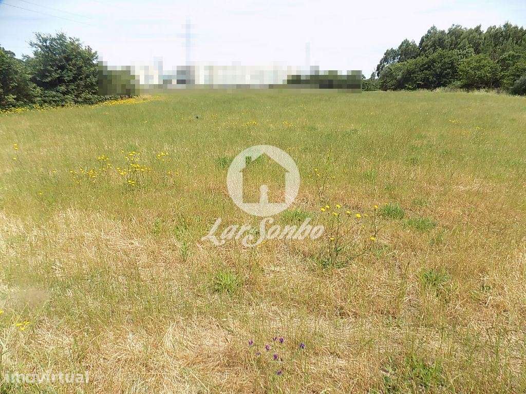 Terreno Misto c/ 92.000 m2 - Argivai - Grande imagem: 4/10