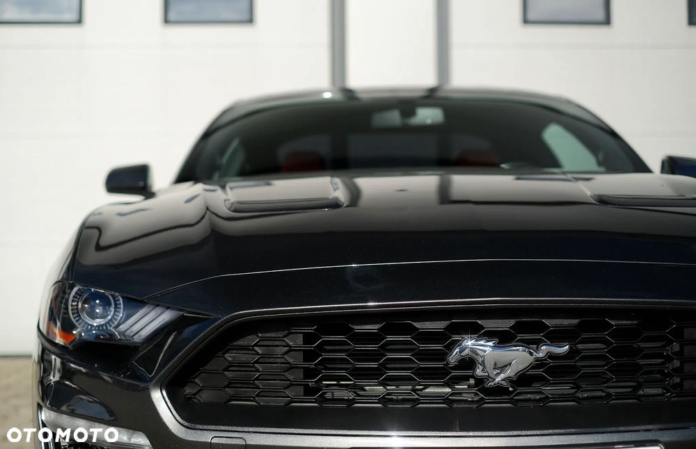 Ford Mustang Fastback 2.3 Eco Boost - 5