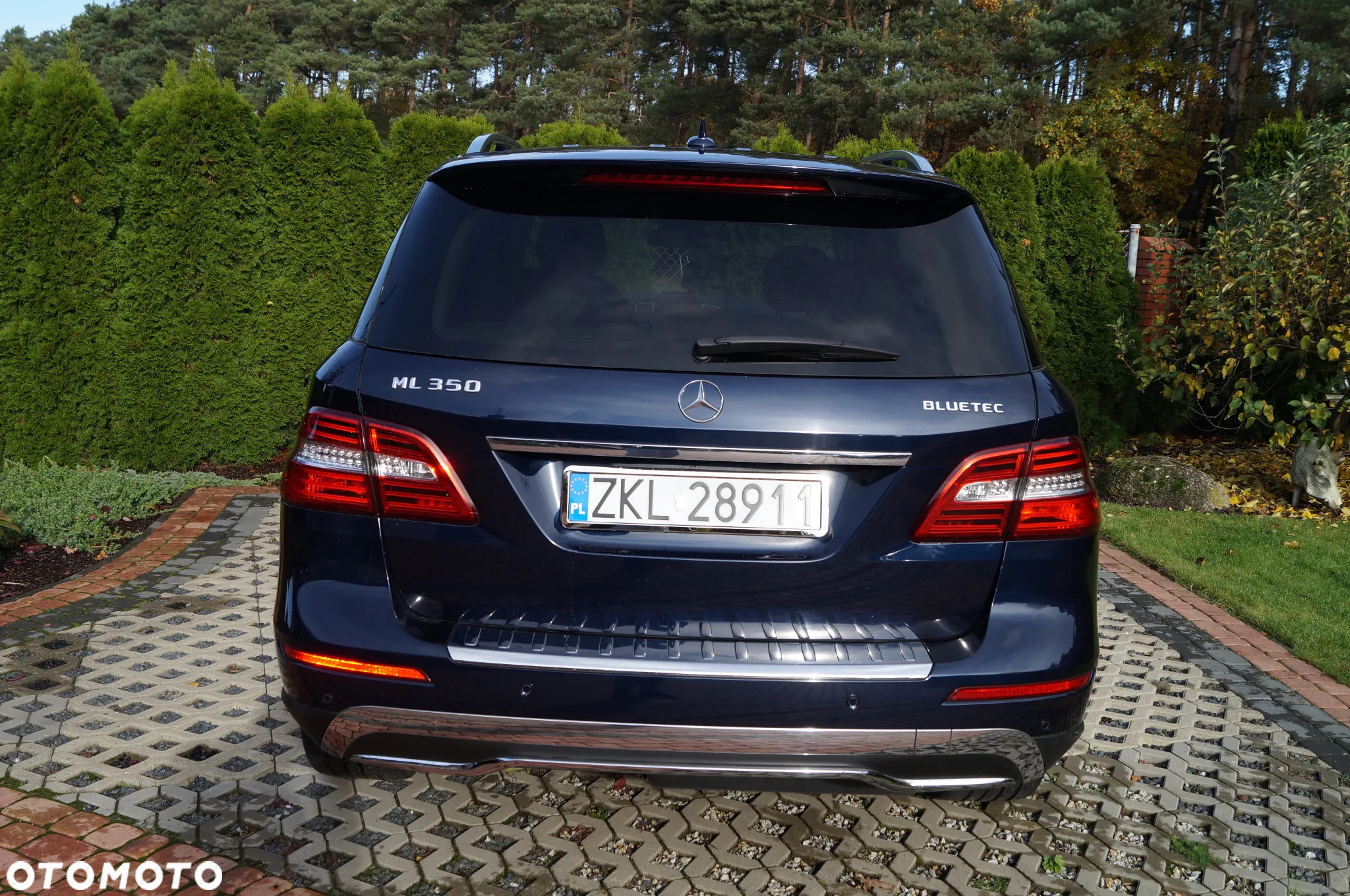 Mercedes-Benz ML 350 BlueTec 4-Matic - 9