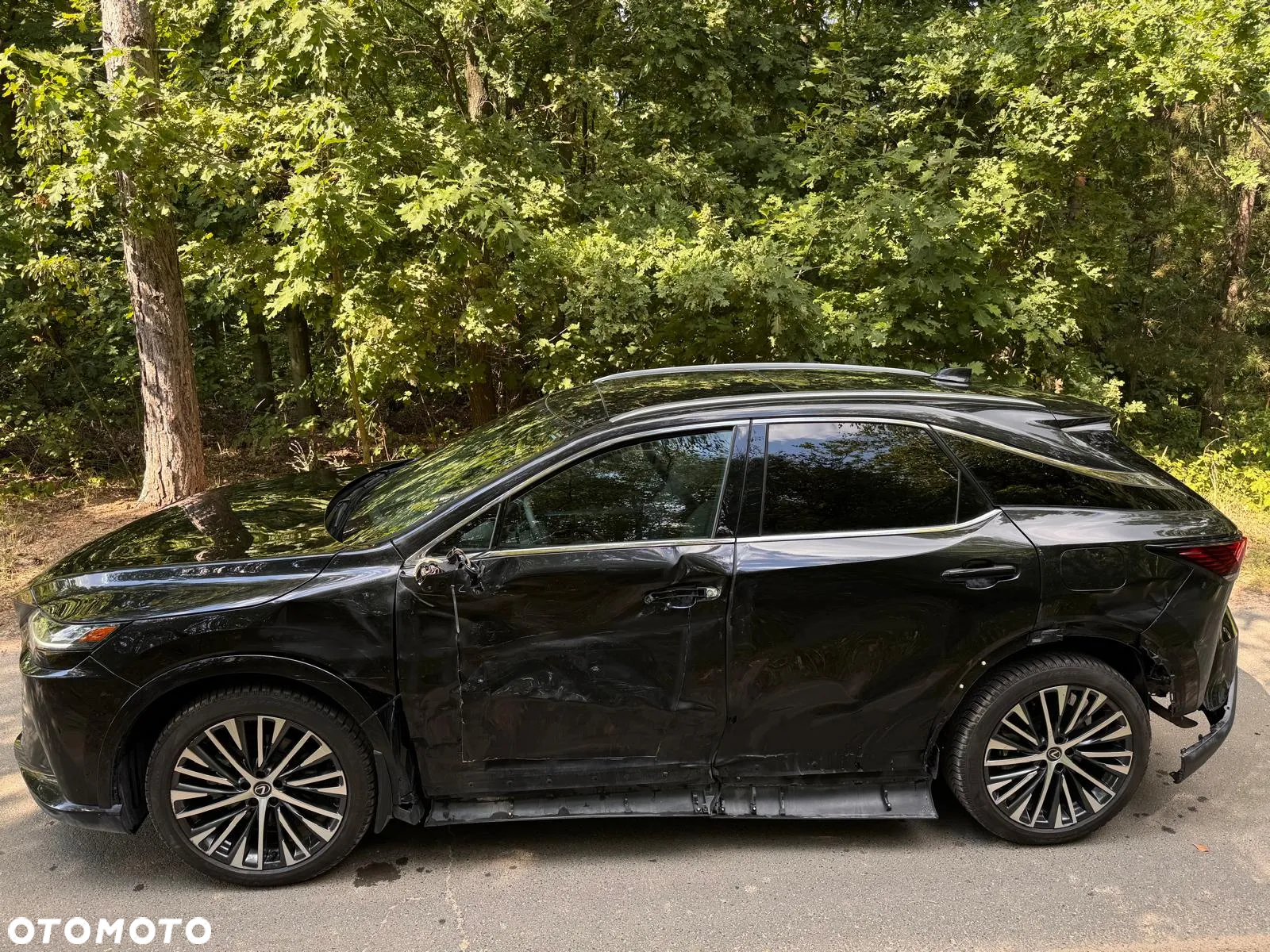 Lexus RX 350h (hybrid) Business - 9