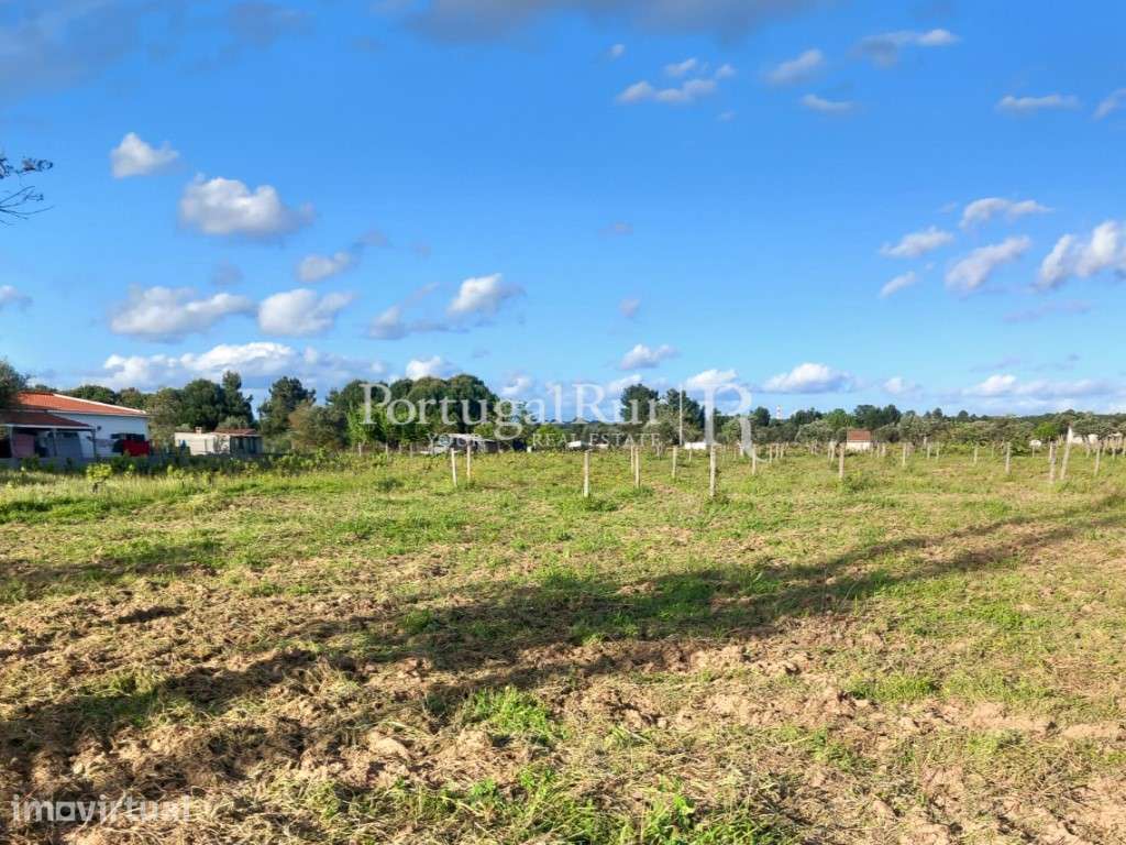Terreno Agrícola com Viabilidade de Construção - Grande imagem: 5/8