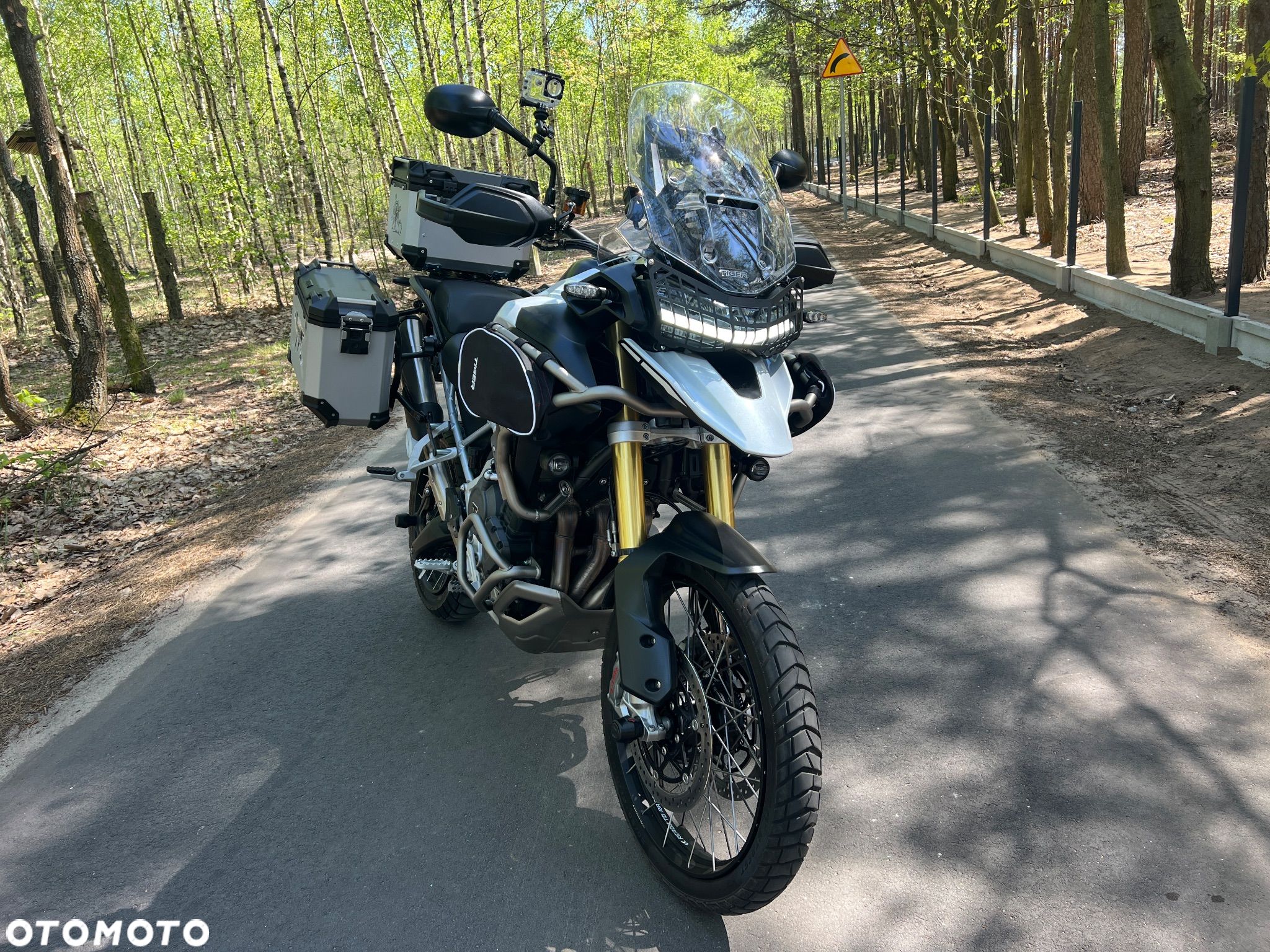 Triumph Tiger - 1