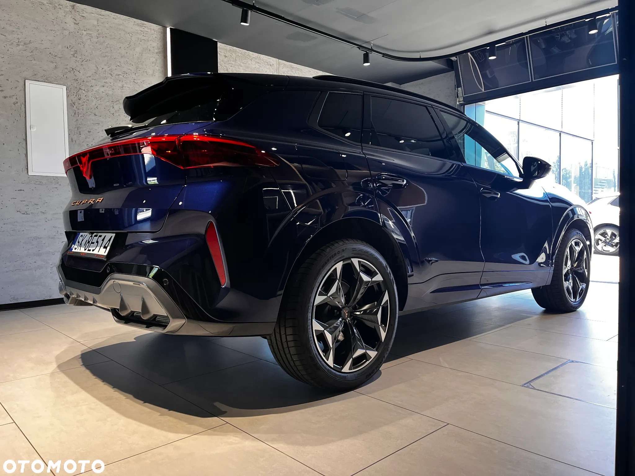 Cupra Terramar - 3
