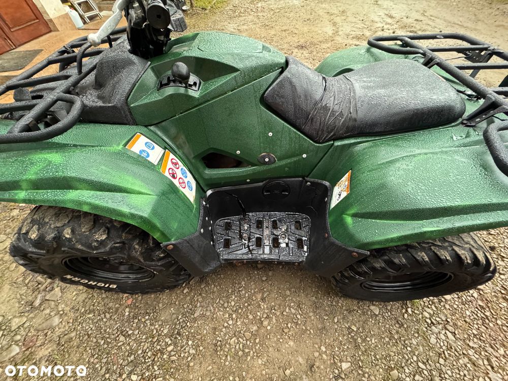 Yamaha Grizzly - 12