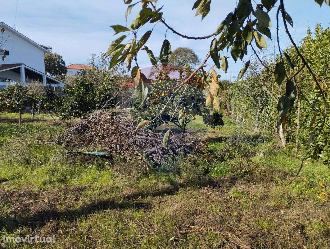 Terreno  para venda - Grande imagem: 5/6