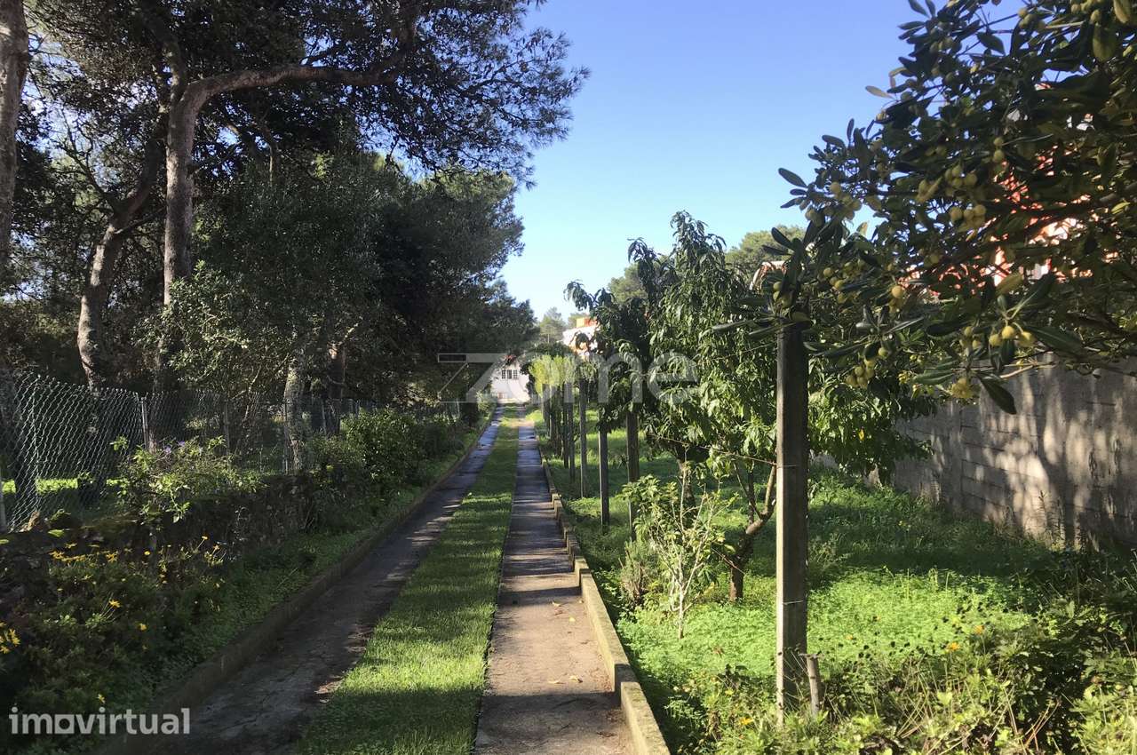 Terreno com 4520m2 para equipamentos e serviços em Aldeia de Juzo - Grande imagem: 4/32